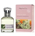 Terre De Cedre Unisex fragrance by Acorelle