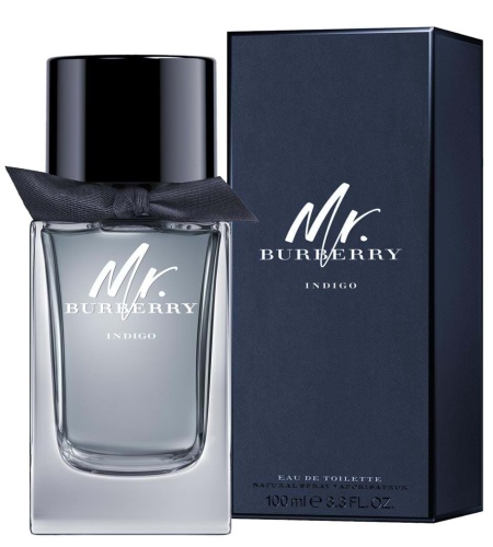 arrangere jeg er enig efterligne Mr Burberry Indigo Cologne for Men by Burberry 2018 | PerfumeMaster.com
