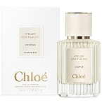 Atelier des Fleurs Cedrus perfume for Women  by  Chloe