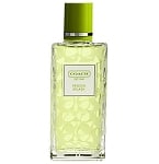 Freesia Splash perfume for Women  by  Coach