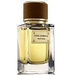 Velvet Wood Unisex fragrance by Dolce & Gabbana