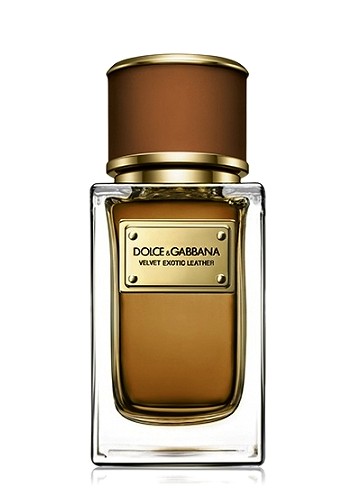 dolce gabbana exotic leather