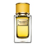 Velvet Ginestra perfume for Women by Dolce & Gabbana