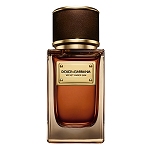 Velvet Amber Sun Unisex fragrance by Dolce & Gabbana