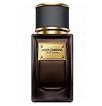 Velvet Incenso Unisex fragrance by Dolce & Gabbana