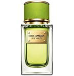 Velvet Mughetto Unisex fragrance by Dolce & Gabbana