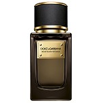 Velvet Black Patchouli Unisex fragrance by Dolce & Gabbana - 2021
