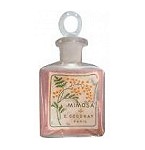 Mimosa perfume for Women by E. Coudray