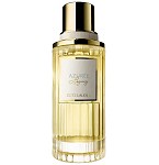 Azuree Legacy perfume for Women by Estee Lauder - 2024