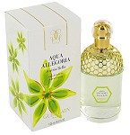 Aqua Allegoria Anisia Bella Unisex fragrance  by  Guerlain