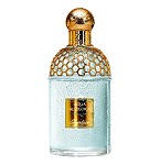 Aqua Allegoria Teazzurra  Unisex fragrance by Guerlain 2015