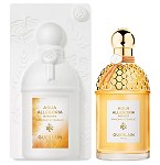 Aqua Allegoria Harvest Mandarine Basilic perfume for Women by Guerlain