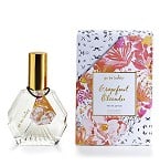 Go Be Lovely - Grapefruit Oleander perfume for Women by Illume - 2014