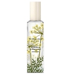 Wild Flowers & Weeds Hemlock & Bergamot Unisex fragrance by Jo Malone