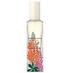 Wild Flowers & Weeds Lupin & Patchouli  Unisex fragrance by Jo Malone 2019