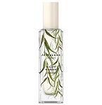 Wild Flowers & Weeds Willow & Amber Unisex fragrance by Jo Malone