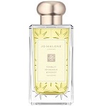 Starlit Mandarin & Honey Unisex fragrance by Jo Malone