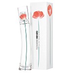 Flower EDT 2021 perfume for Women  by  Kenzo