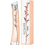 Flower Ikebana Mimosa  perfume for Women by Kenzo 2024