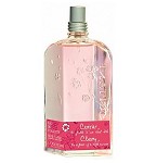 Cherry Collection - Cherry  perfume for Women by L'Occitane en Provence 2008