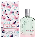 Fleurs de Cerisier Eau Fraiche perfume for Women  by  L'Occitane en Provence
