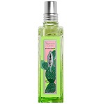 Verbena Collection - Verveine Cactus Unisex fragrance by L'Occitane en Provence - 2021