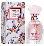 Herbae Sauge Sclaree perfume for Women  by  L'Occitane en Provence