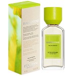 Forever Unforgotten Barbotine perfume for Women by L'Occitane en Provence - 2023