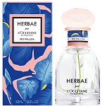 Herbae Iris Pallida perfume for Women  by  L'Occitane en Provence