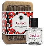 Tindrer  Unisex fragrance by Magnetic Scent 2012