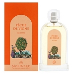 Les Fruits Peche de Vigne perfume for Women  by  Molinard