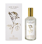 Rose Turkia perfume for Women by Molinard