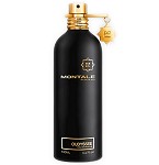 Oudyssee cologne for Men by Montale