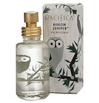 Avalon Juniper  Unisex fragrance by Pacifica 2008