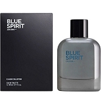Classic Collection Blue Spirit cologne for Men  by  Zara