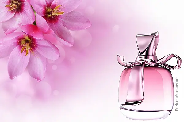 Romantic Fragrances for Valentine's Day