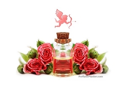 Top 3 Perfumes to Wear on Valentine's Day