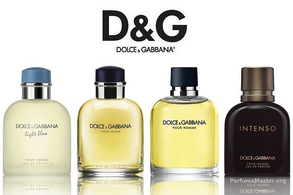 d&g intenso perfume