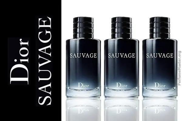 sauvage dior logo