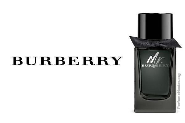 Mr Burberry Eau de Parfum Fragrance