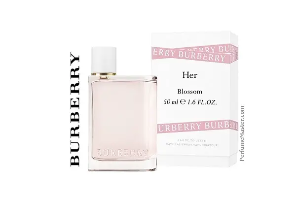 new burberry perfume 2019