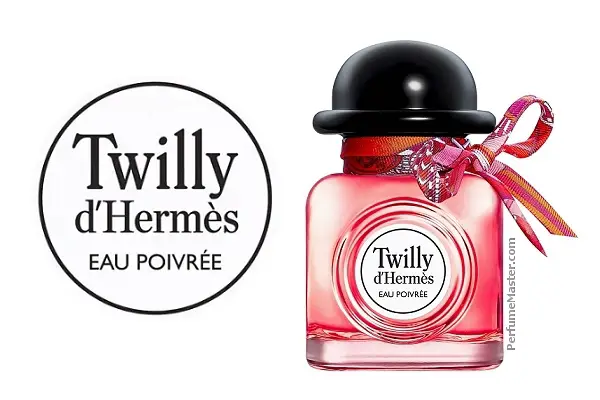 twilly hermes 2019