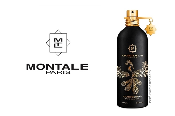 Oudrising Montale 50 мл. Montale oud Edition EDP. Montale oudrising парфюмерная вода 100мл. Арабианс Монталь 20мл. Montale rendez