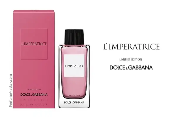 d&g limited edition perfume