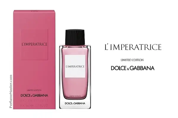 dolce and gabbana limited edition perfume