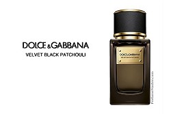Velvet Black Patchouli New Dolce & Gabbana Fragrance Velvet Black Patchouli New Dolce & Gabbana Fragrance