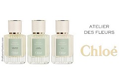 Chloe Atelier des Fleurs Iris Ylang Cananga Narcissus Poeticus Chloe Atelier des Fleurs Iris Ylang Cananga Narcissus Poeticus