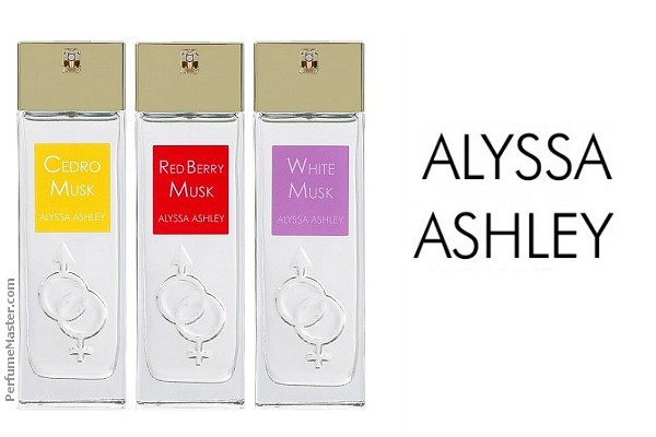 Alyssa Ashley New Musk Creations Cedro Red Berry White