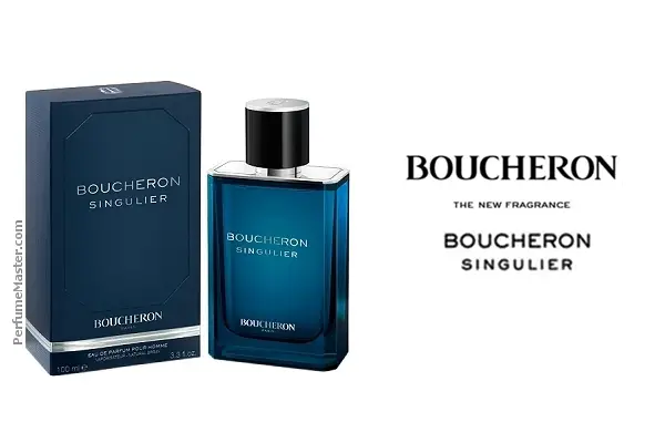 Buy Boucheron Singulier Eau De Parfum For Men 100ml · Iceland