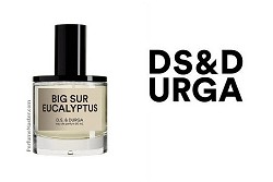 Big Sur Eucalyptus DS & Durga New Fragrance